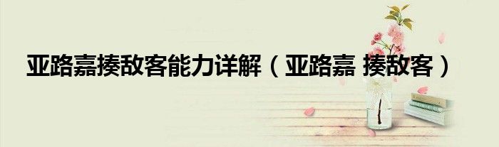 亞路嘉揍敵客能力詳解（亞路嘉 揍敵客）