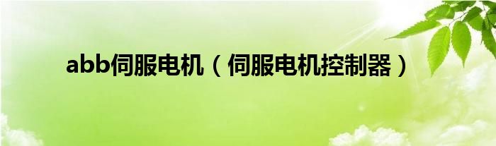 abb伺服電機（伺服電機控制器）