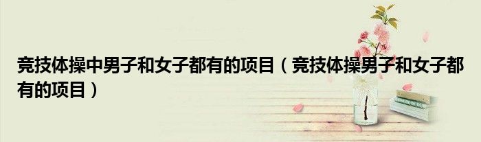競技體操中男子和女子都有的項目（競技體操男子和女子都有的項目）