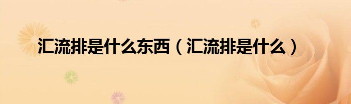 匯流排是什么東西（匯流排是什么）