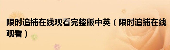 限時追捕在線觀看完整版中英（限時追捕在線觀看）