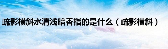 疏影橫斜水清淺暗香指的是什么（疏影橫斜）