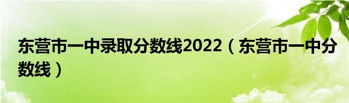 東營市一中錄取分數(shù)線2022（東營市一中分數(shù)線）