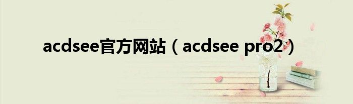 acdsee官方網(wǎng)站（acdsee pro2）