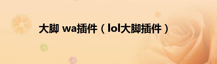 大腳 wa插件（lol大腳插件）