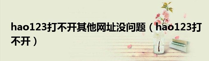 hao123打不開其他網(wǎng)址沒問題（hao123打不開）