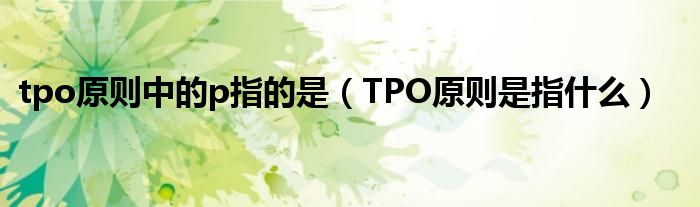tpo原則中的p指的是（TPO原則是指什么）