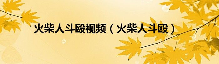 火柴人斗毆視頻（火柴人斗毆）