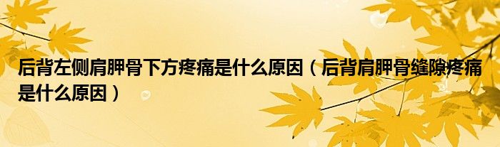 后背左側(cè)肩胛骨下方疼痛是什么原因（后背肩胛骨縫隙疼痛是什么原因）
