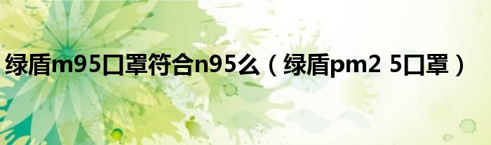 綠盾m95口罩符合n95么（綠盾pm2 5口罩）