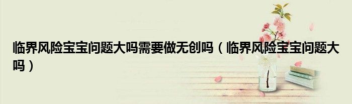 臨界風(fēng)險寶寶問題大嗎需要做無創(chuàng)嗎（臨界風(fēng)險寶寶問題大嗎）