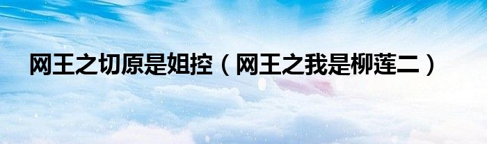 網(wǎng)王之切原是姐控（網(wǎng)王之我是柳蓮二）
