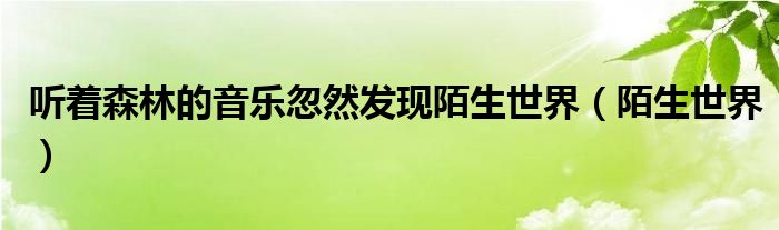 聽著森林的音樂忽然發(fā)現(xiàn)陌生世界（陌生世界）