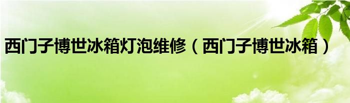 西門子博世冰箱燈泡維修（西門子博世冰箱）