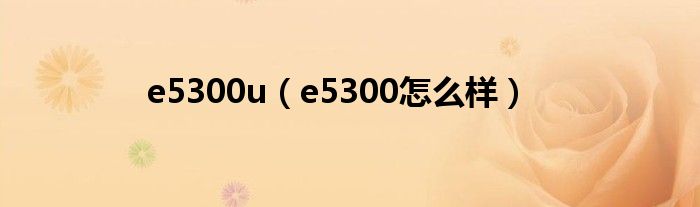 e5300u（e5300怎么樣）