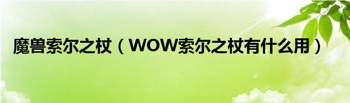 魔獸索爾之杖（WOW索爾之杖有什么用）