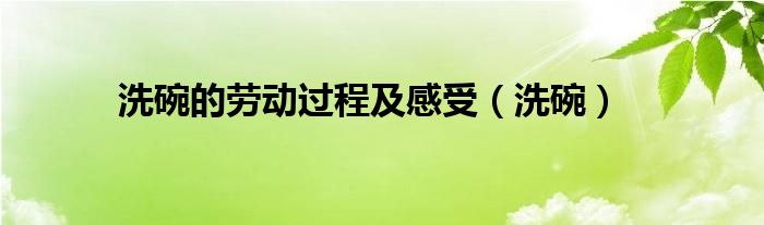 洗碗的勞動過程及感受（洗碗）