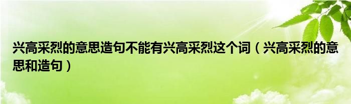 興高采烈的意思造句不能有興高采烈這個詞（興高采烈的意思和造句）