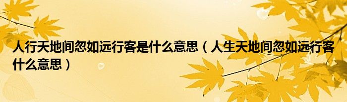 人行天地間忽如遠(yuǎn)行客是什么意思（人生天地間忽如遠(yuǎn)行客什么意思）