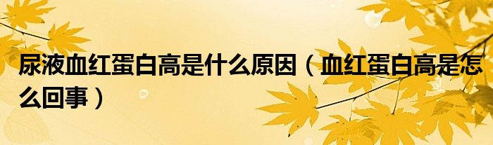 尿液血紅蛋白高是什么原因（血紅蛋白高是怎么回事）