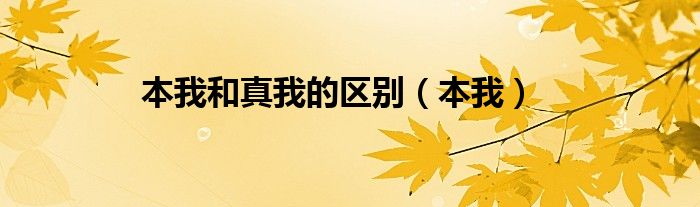 本我和真我的區(qū)別（本我）
