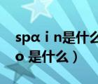 spαⅰn是什么意思中文（ldquo 鹓鶵 rdquo 是什么）