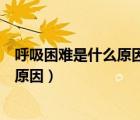 呼吸困難是什么原因引起的（呼吸困難、右胸口疼痛是什么原因）
