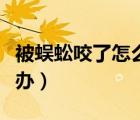 被蜈蚣咬了怎么辦涂什么藥（被蜈蚣咬了怎么辦）