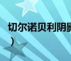 切爾諾貝利陰影里的大塊肉（切爾諾貝利陰影）