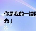 你是我的一縷陽光作文寫人（你是我的一縷陽光）