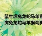 鼠?；⑼谬埳唏R羊猴雞狗豬十二生肖（十二生肖為啥是鼠牛虎兔龍蛇馬羊猴雞狗豬）