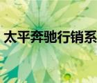 太平奔馳行銷系統(tǒng)登錄（平安行銷支持系統(tǒng)）