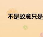不是故意只是太愛你的歌名（不是故意）