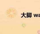 大腳 wa插件（lol大腳插件）
