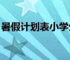 暑假計(jì)劃表小學(xué)生 模板（小學(xué)生暑假計(jì)劃表）