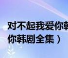 對不起我愛你韓劇全集百度網(wǎng)盤（對不起我愛你韓劇全集）