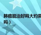 肺癌能治好嗎大約需要多少錢（肺癌能治好嗎 肺癌可以治愈嗎）