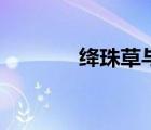 絳珠草與神瑛侍者（絳珠草）