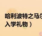 哈利波特之馬爾福雙生子（哈利波特馬爾福的入學(xué)禮物）