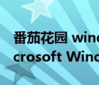 番茄花園 windows xp pro sp3 v1.21（Microsoft Windows XP SP3）