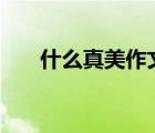 什么真美作文500字（什么真美作文）