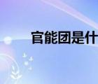 官能團是什么玩意（官能團是什么）