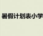 暑假計劃表小學生一年（暑假計劃表小學生）