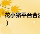花小豬平臺合法嗎（花小豬平臺被交通部點名）