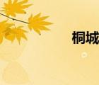 桐城派簡介（桐城派）