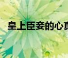 皇上臣妾的心真的好痛（皇上臣妾很低調(diào)）