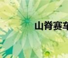 山脊賽車psp（山脊賽車 pc）