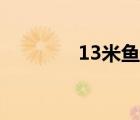 13米魚竿推薦（13米魚竿）