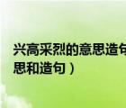 興高采烈的意思造句不能有興高采烈這個(gè)詞（興高采烈的意思和造句）
