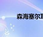森海塞爾耳機(jī)（森海塞爾pc131）